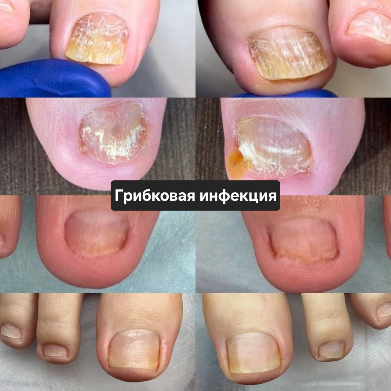 Пример работы